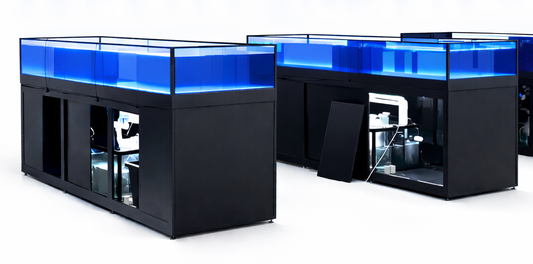 Commercial coral frag display tables with shallow tanks and sumps for retail coral sales