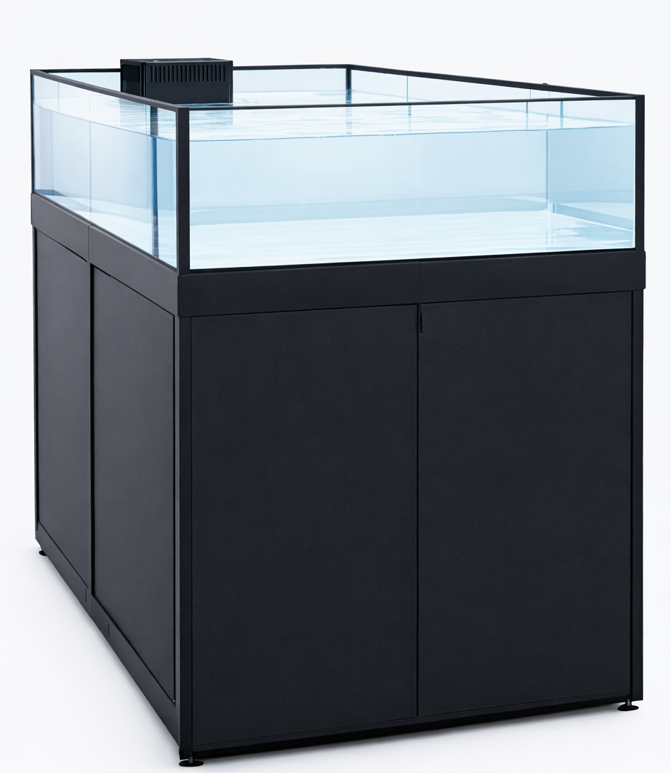 Commercial Coral Frag Display Custom Designed by DAS Aquariums