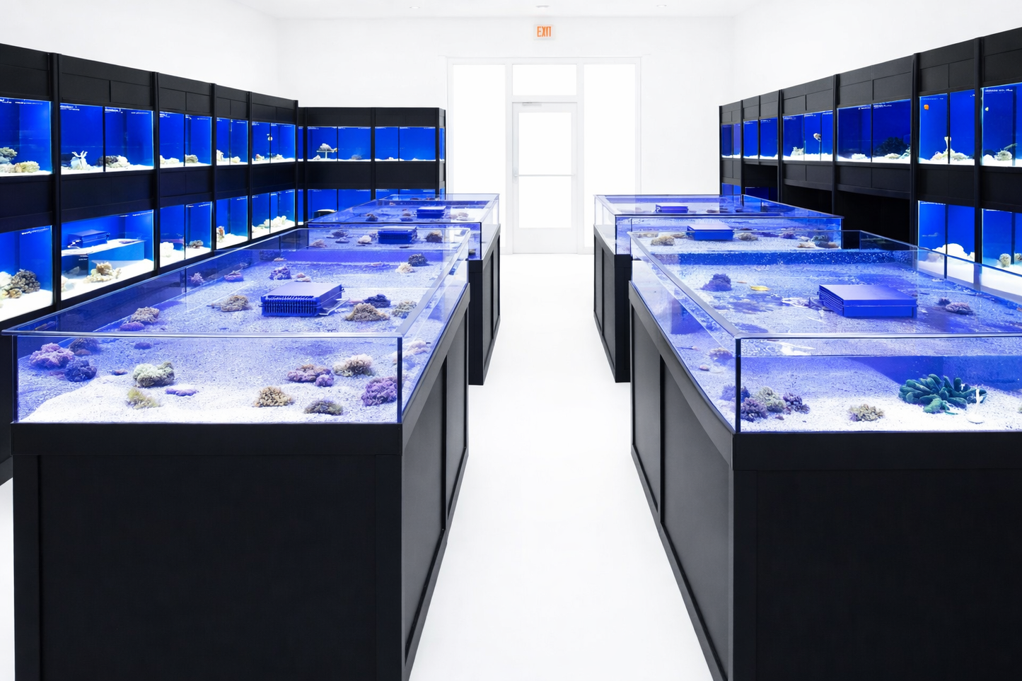 Custom Coral Frag Display Tables manufactured by DAS Aquariums for marine fish stores
