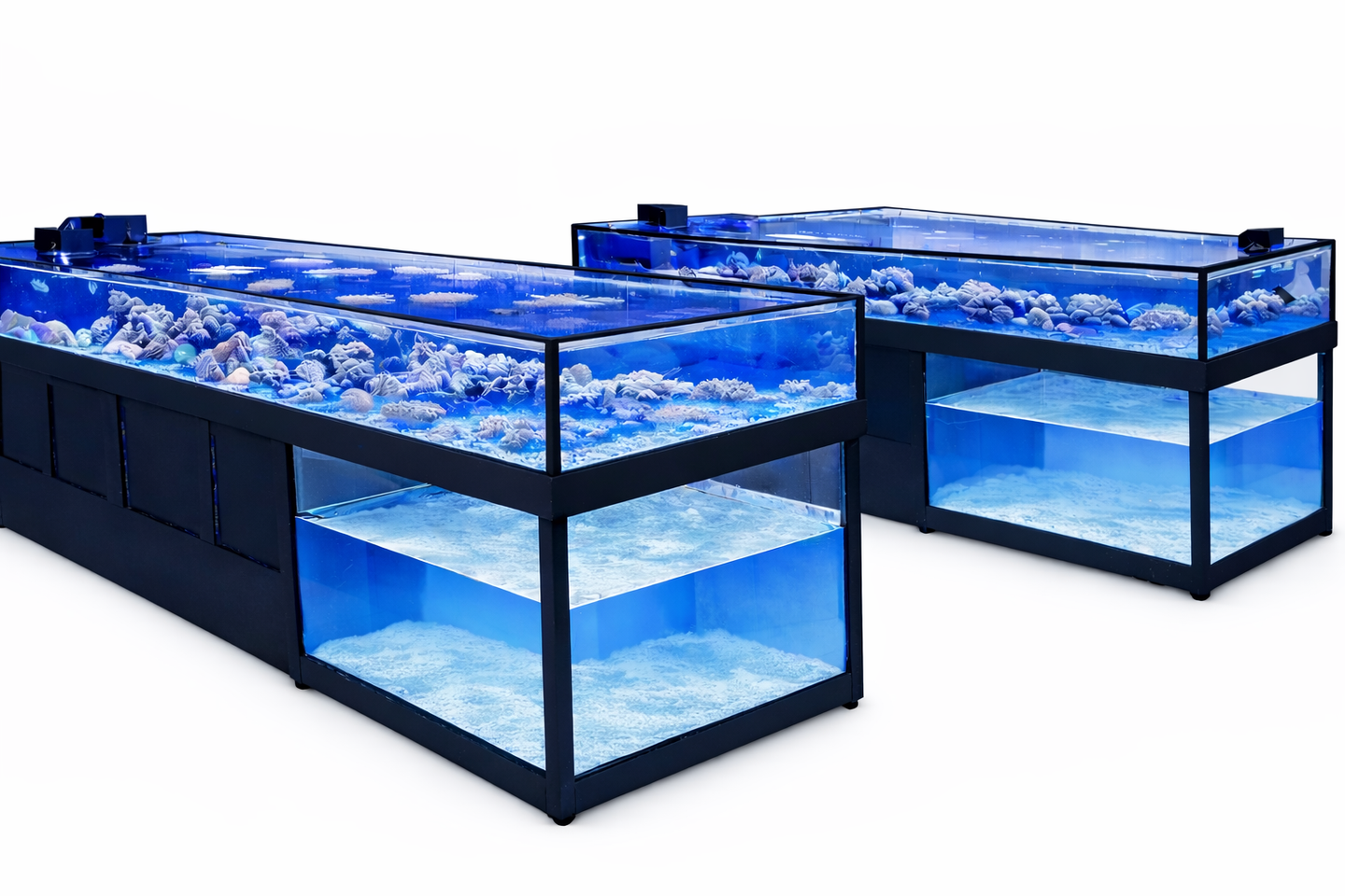 Custom Coral Frag Display tanks with Live Rock Display built by DAS Aquariums for specialized reef retail use