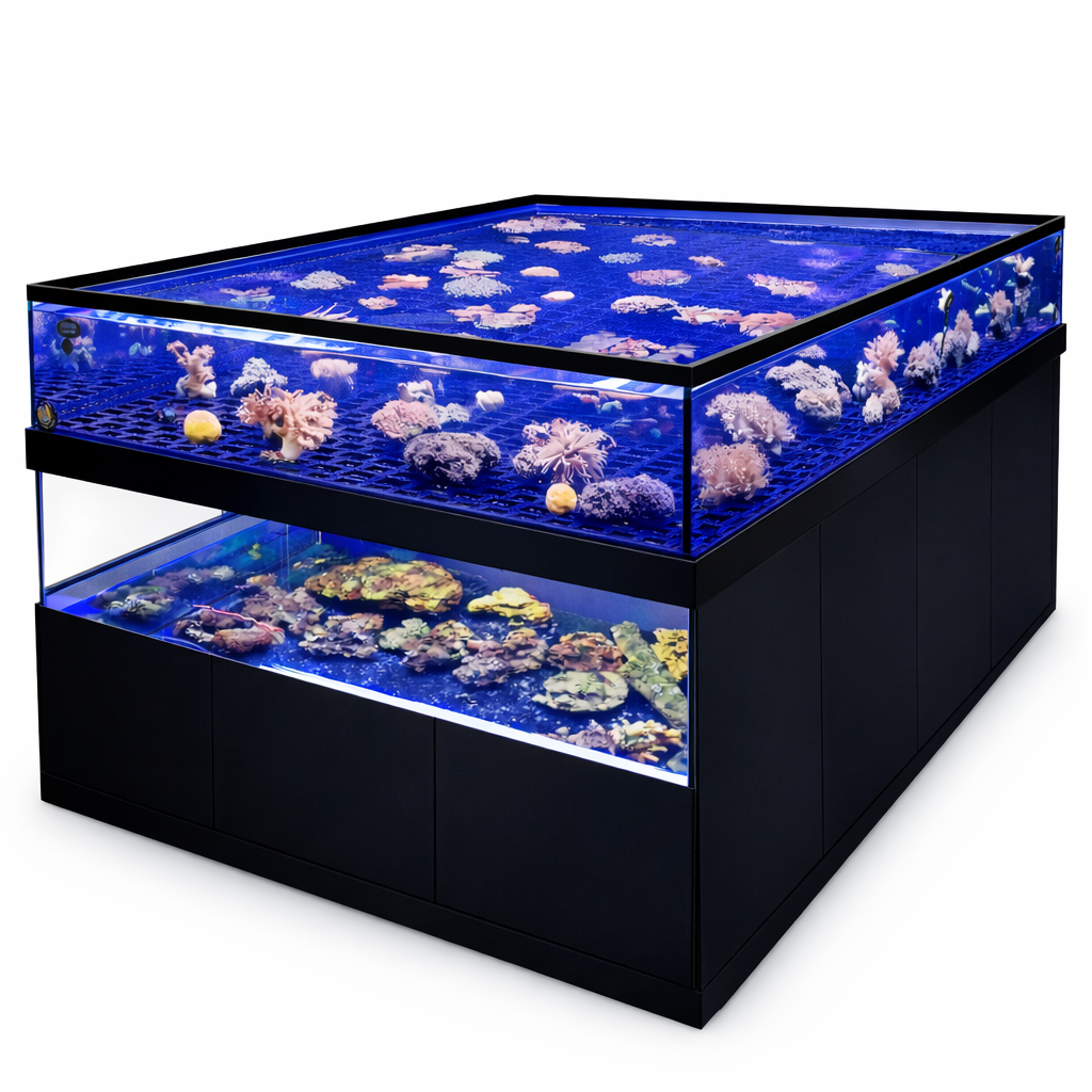 Custom Coral Frag Display tanks built by DAS Aquariums with Live Rock Display 