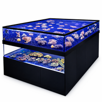Custom Coral Frag Display tanks built by DAS Aquariums with Live Rock Display 