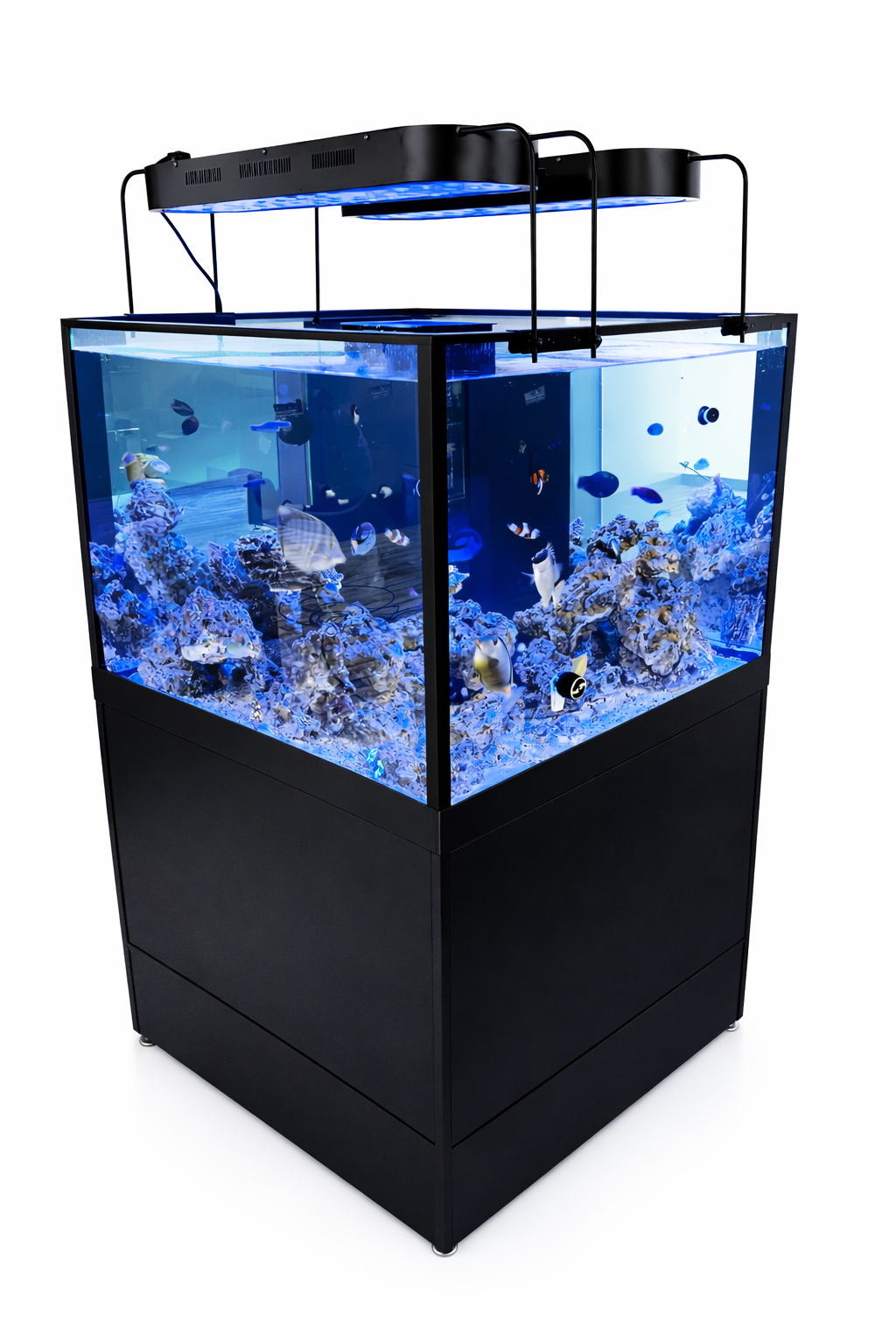 Coral Tank Small Display for Retail Stores