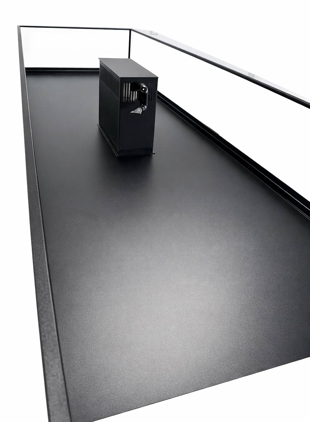 Black Overflow Box in the middle of a Frag Coral Display designed for Retail Coral Sales
