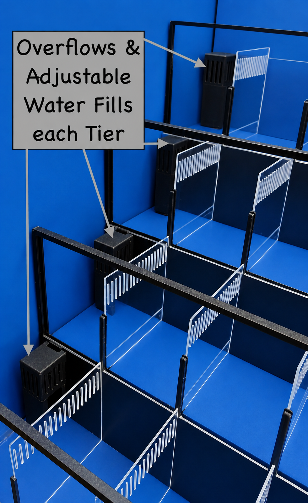 Crustacean Tiered Retail Commercial Display or Freshwater Betta Fish Retail Rack