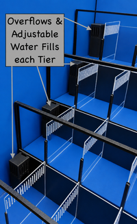 Crustacean Tiered Retail Commercial Display or Freshwater Betta Fish Retail Rack