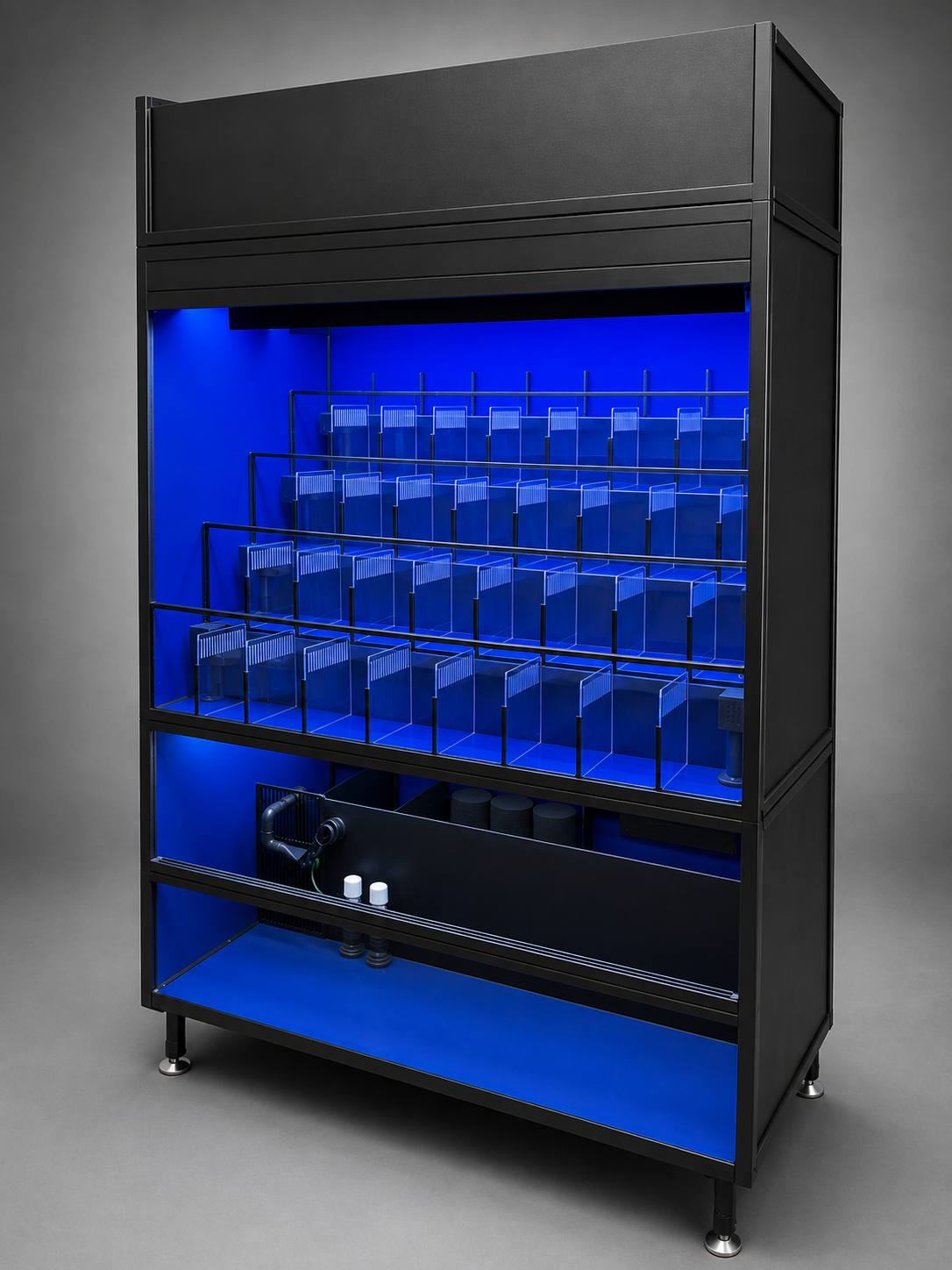 Crustacean Tiered Retail Commercial Display or Freshwater Betta Fish Retail Rack