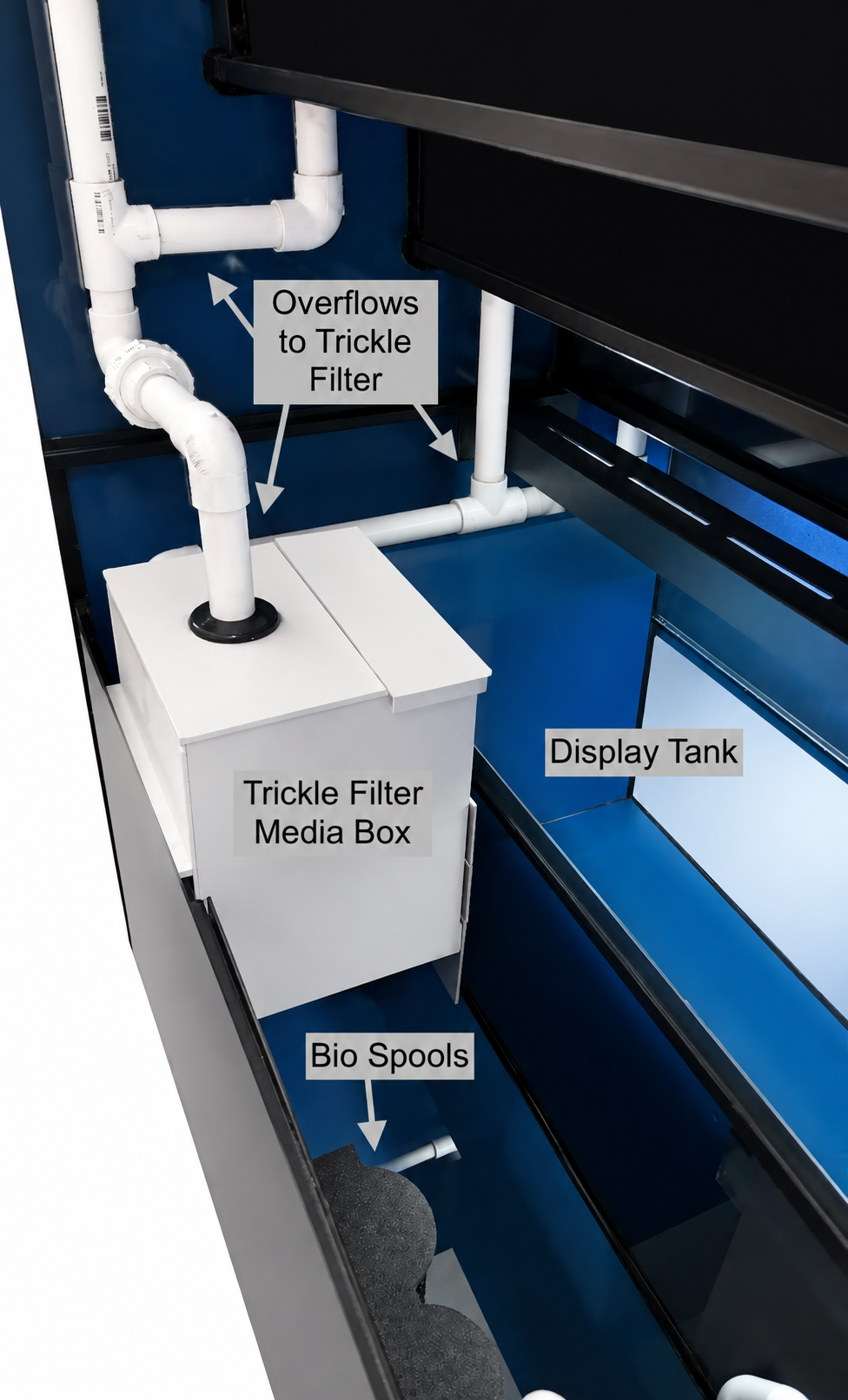 Crustacean Tiered Retail Commercial Display or Freshwater Betta Fish Retail Rack