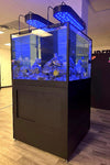 145 Gallon Cube Tank with Corals