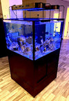 3D 145 Gallon Cube Tank with Corals