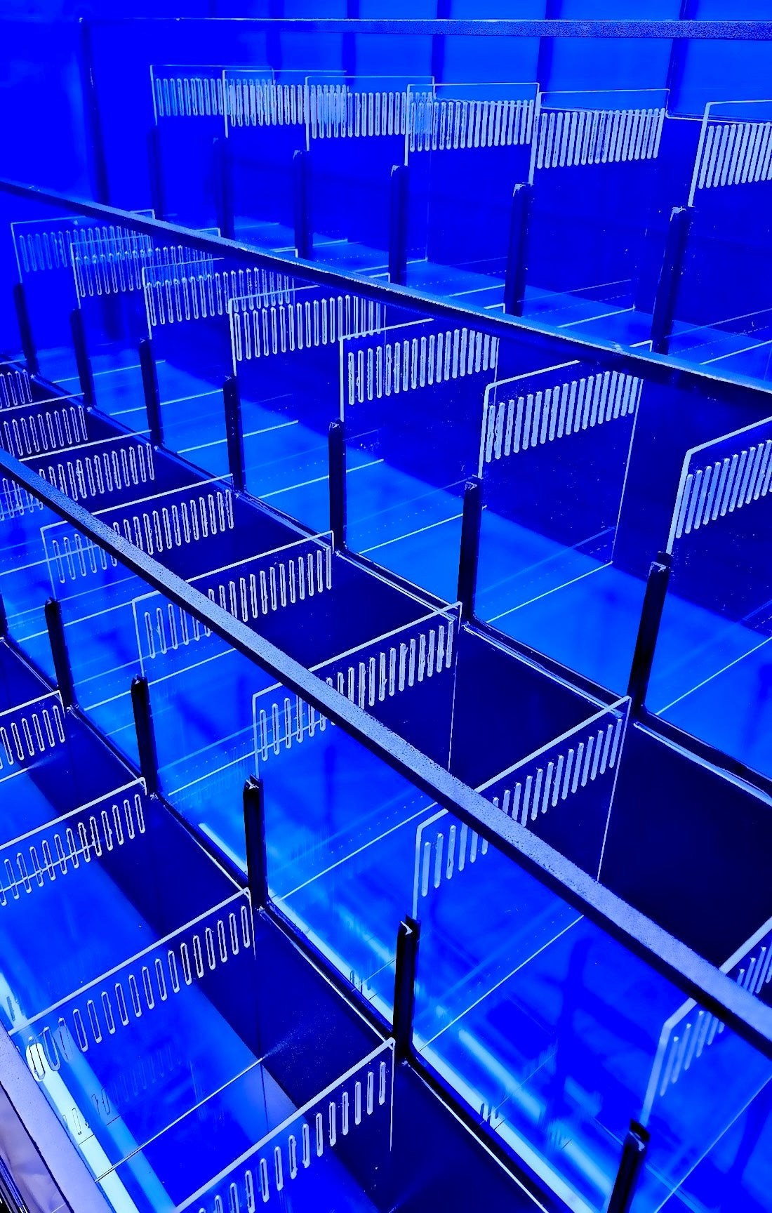 Crustacean Tiered Retail Commercial Display Rack