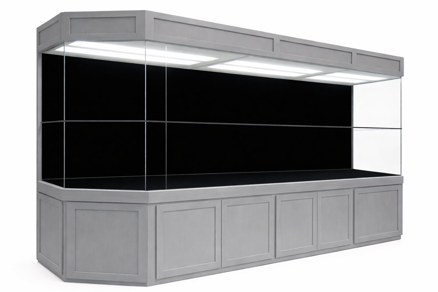 Custom Designed Turtle Tank and Paludarium with Black Wall and Gray Exterior