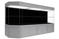 Custom Designed Turtle Tank and Paludarium with Black Wall and Gray Exterior