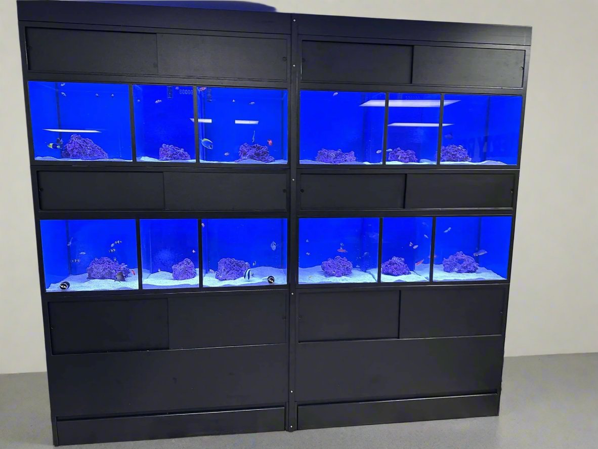 Marine Fish Aquarium Racks โ DAS