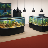 Two large aquariums with fish and plants on a beige floor with a red carpet.