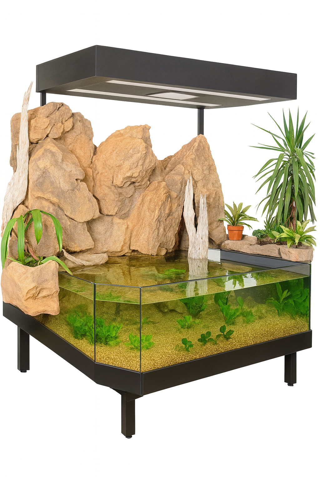 DAS 3D Aquarium Display with Artificial Background