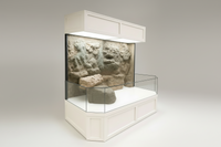 DAS 3D Aquarium Display with Artificial Rocks