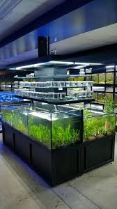 DAS Cascading Aquatic Plant Merchandiser
