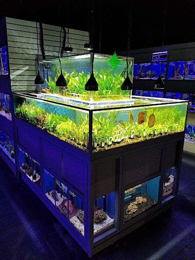 DAS Cascading Aquatic Plant Merchandiser