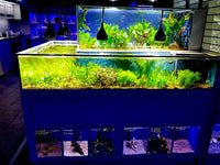 DAS Cascading Aquatic Plant Merchandiser