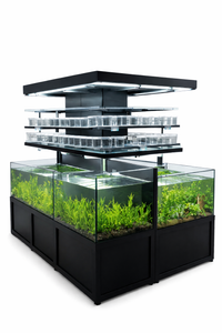 FW Fish Cascading Aquatic Plant Merchandiser