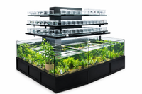 FW Fish Cascading Aquatic Plant Merchandiser