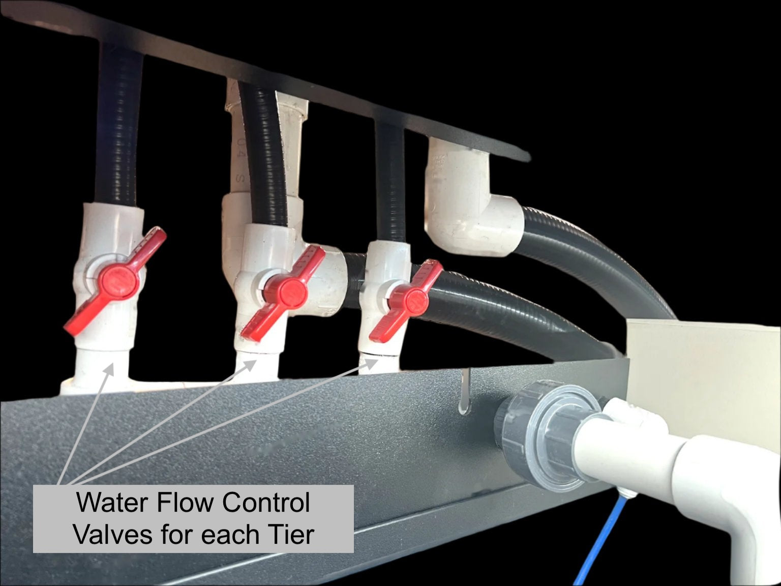 Marine Fish Aquarium Racks – DAS