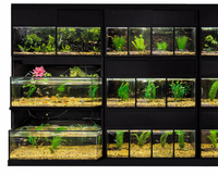 Premium freshwater retail fish rack engineered for durability, clarity, and long-term operational efficiency