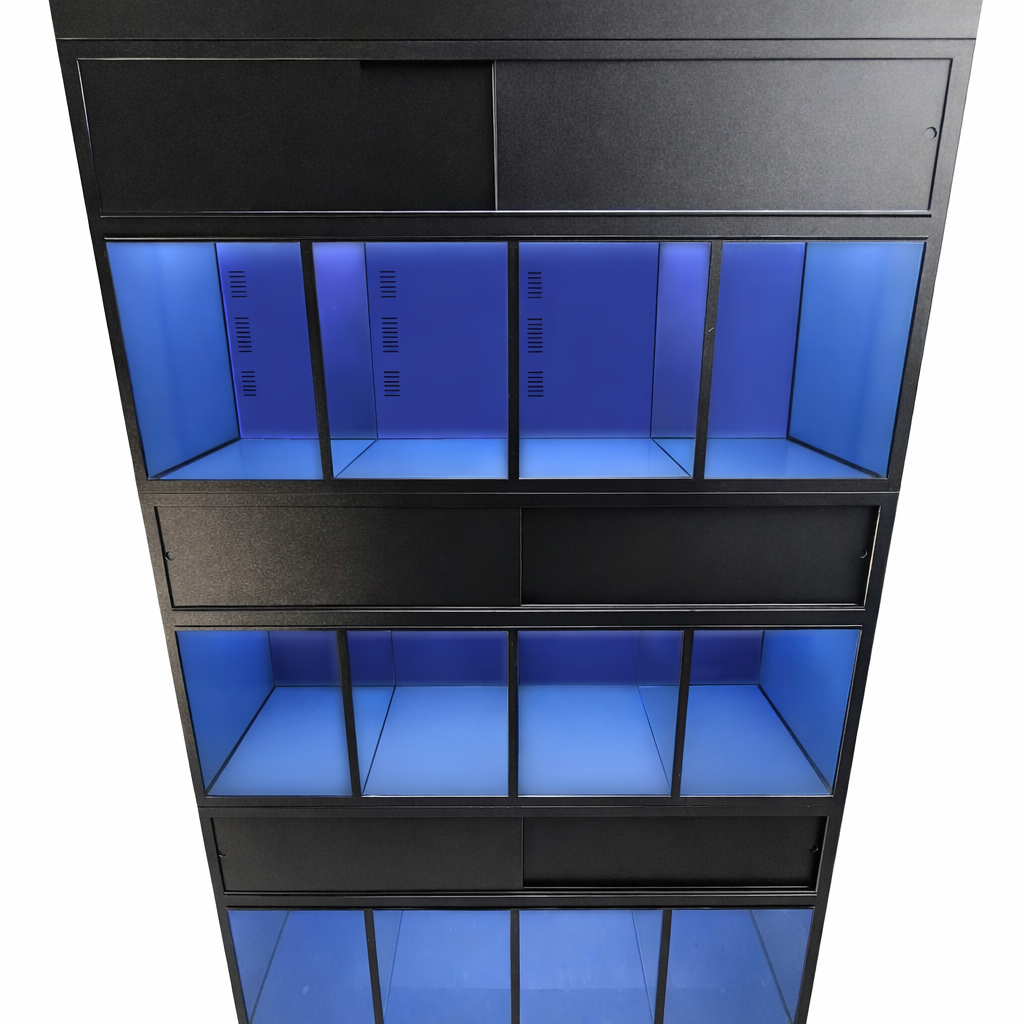 Commercial freshwater aquarium retail rack with evenly spaced tanks, durable stand, and self-contained filtration system