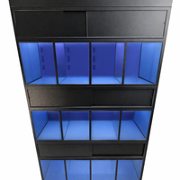 Commercial freshwater aquarium retail rack with evenly spaced tanks, durable stand, and self-contained filtration system