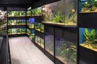 Multi-tank freshwater fish rack suitable for school science programs, nature centers, and hands-on aquatic learning