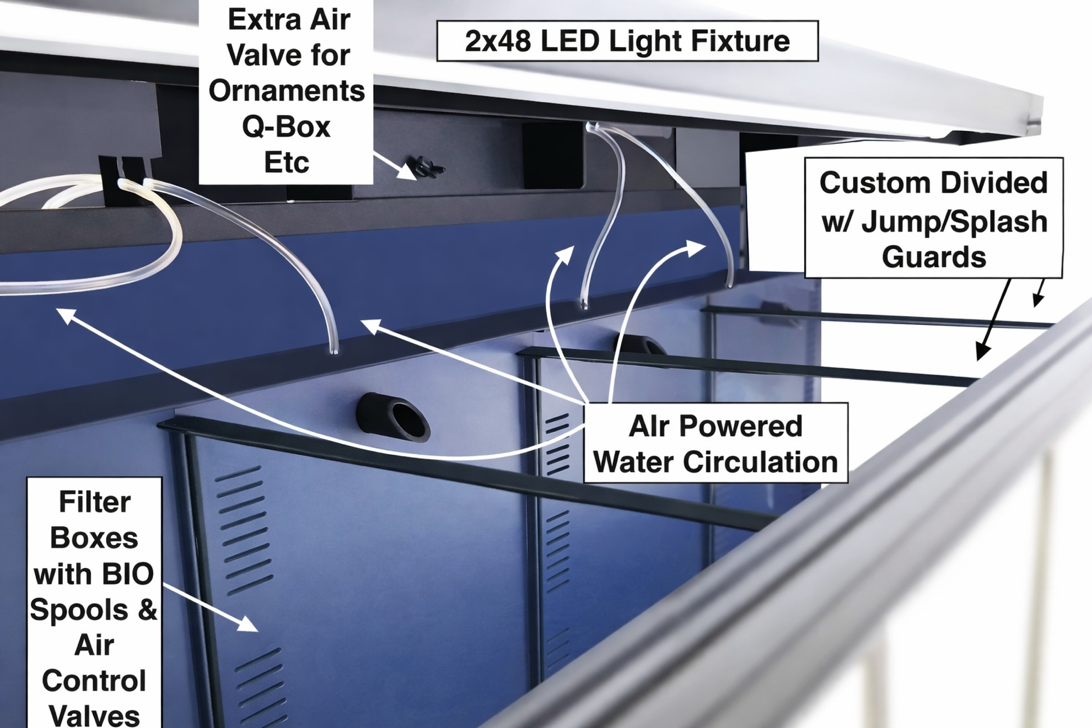 Detail view of integrated filtration system on freshwater retail fish rack designed for long-term operation without frequent part replacement