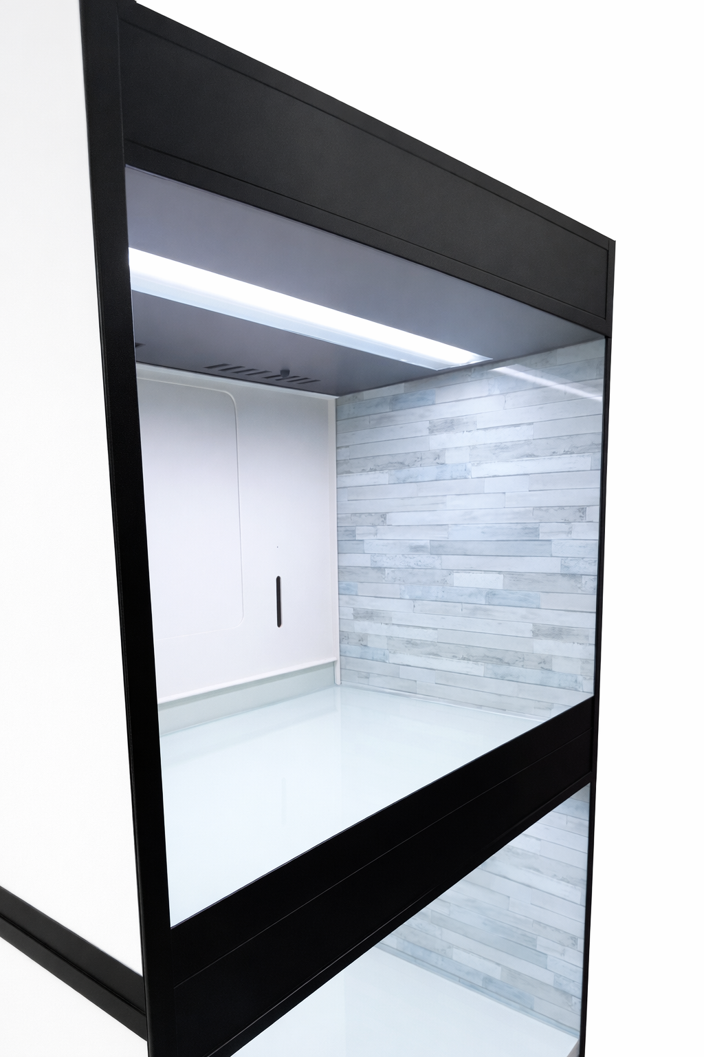 Modular adoption kennel system designed for humane display of adoptable pets in rescue facilities and veterinary clinics.  Kitten and Puppy Adoption Display Suites