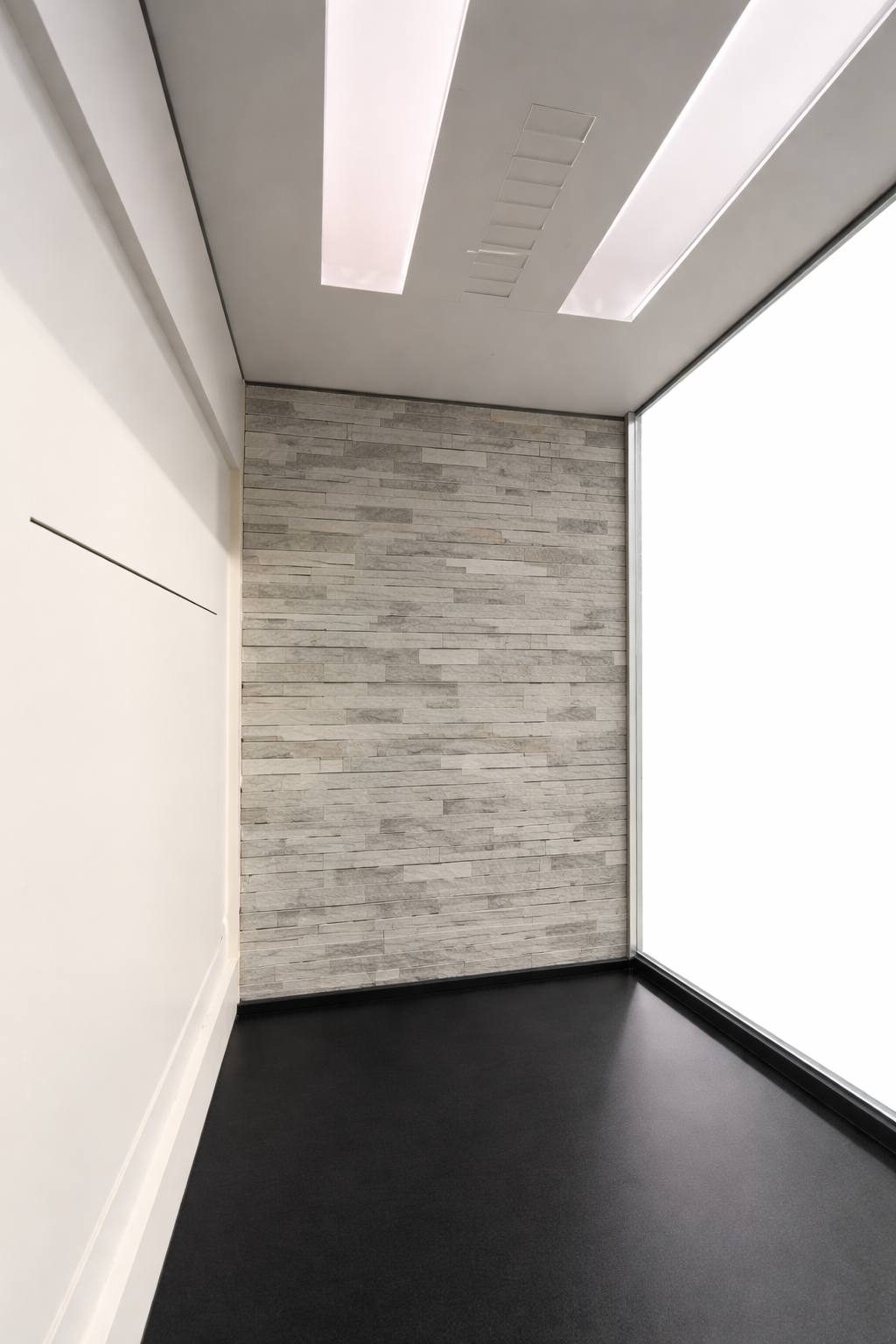 Custom Designed Kennels for Daycare or Large breed Puppies or Dogs