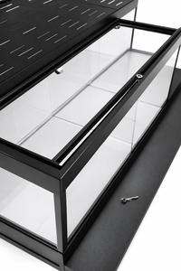 Koi Tank Aquarium Top View 