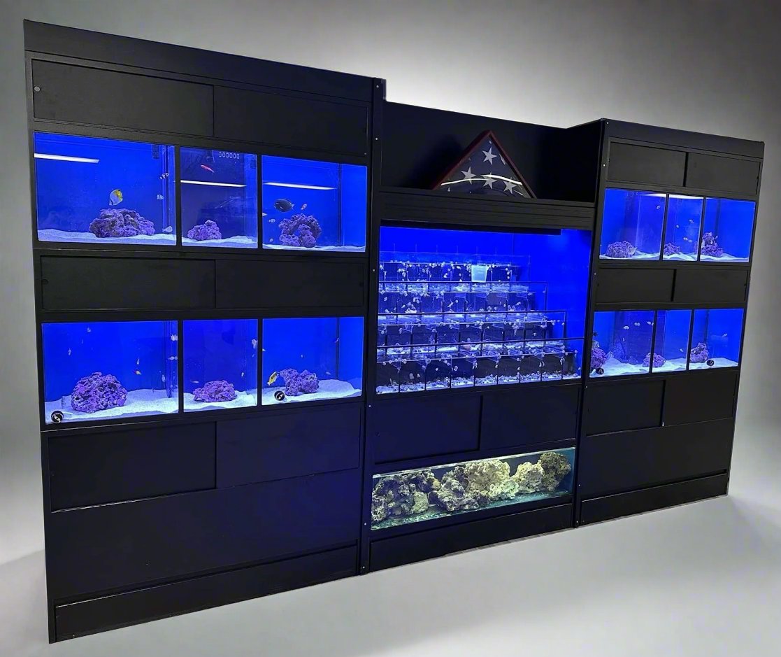 Commercial Fish Rack Commercial Fish Tank Systems What Is Commercial Use Of RO Plants In