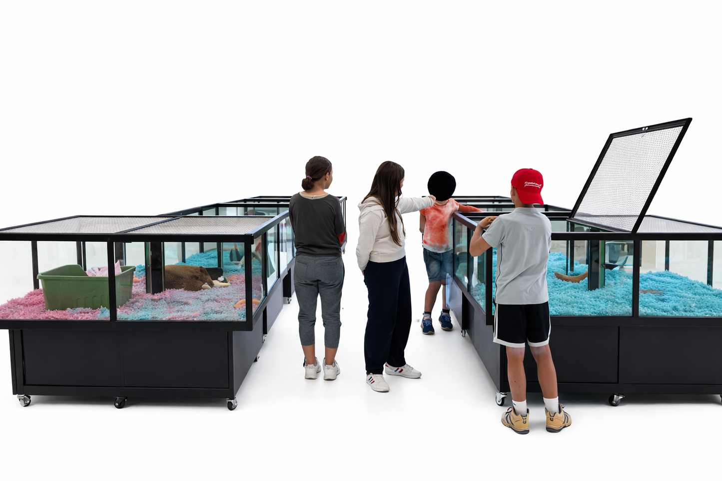 Rolling, lockable petter display with glass enclosure for puppies, small mammals, turtles, or birds.  Adoption Event.