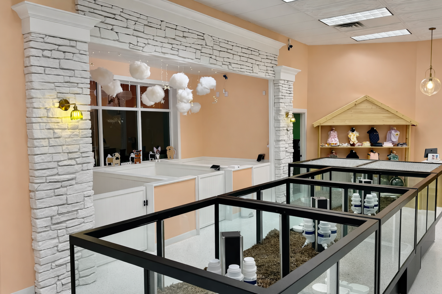 Rolling, lockable petter display with glass enclosure for puppies, small mammals, turtles, or birds.  Adoption Event