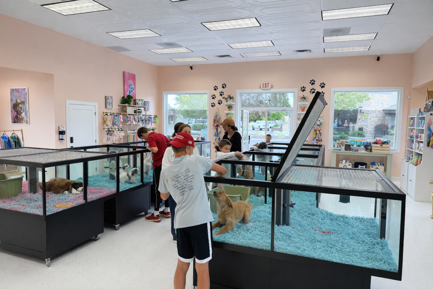 Rolling, lockable petter display with glass enclosure for puppies, small mammals, turtles, or birds. Adoption Event