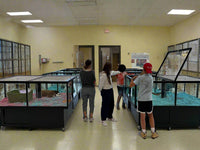 Petters for adoption events