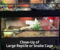 Reptile Care Commercial Display Rack - DAS 
