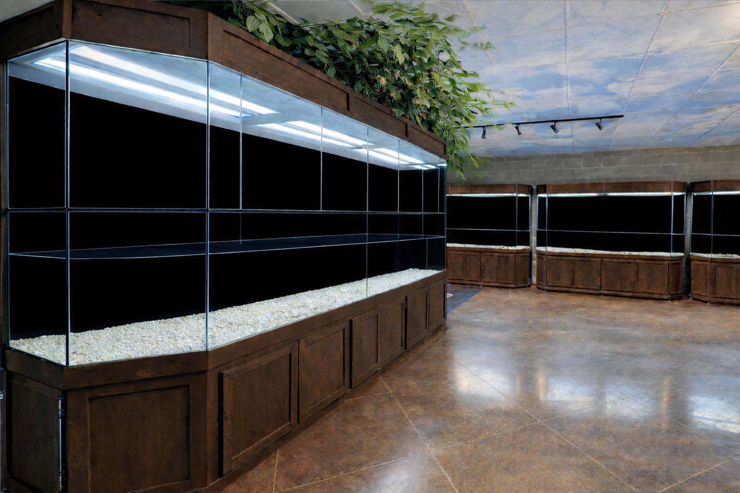 Turtle Tanks, Paludariums and Terrariums at an Arkansas Nature Center