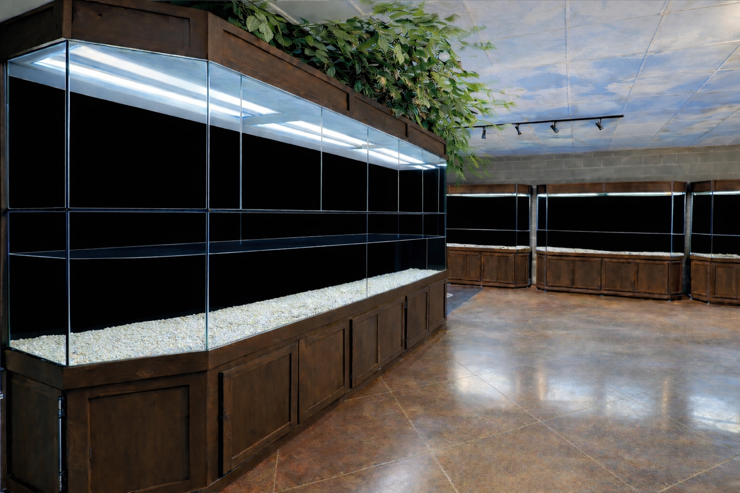 Turtle Tanks, Paludariums and Terrariums at an Arkansas Nature Center