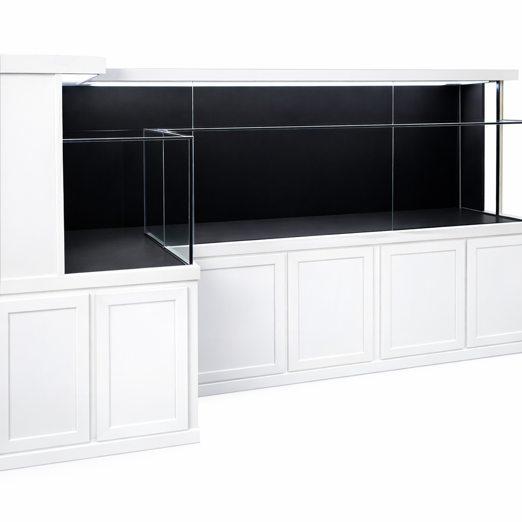 Custom Designed Turtle Tank White with Black Background and integrated filtration