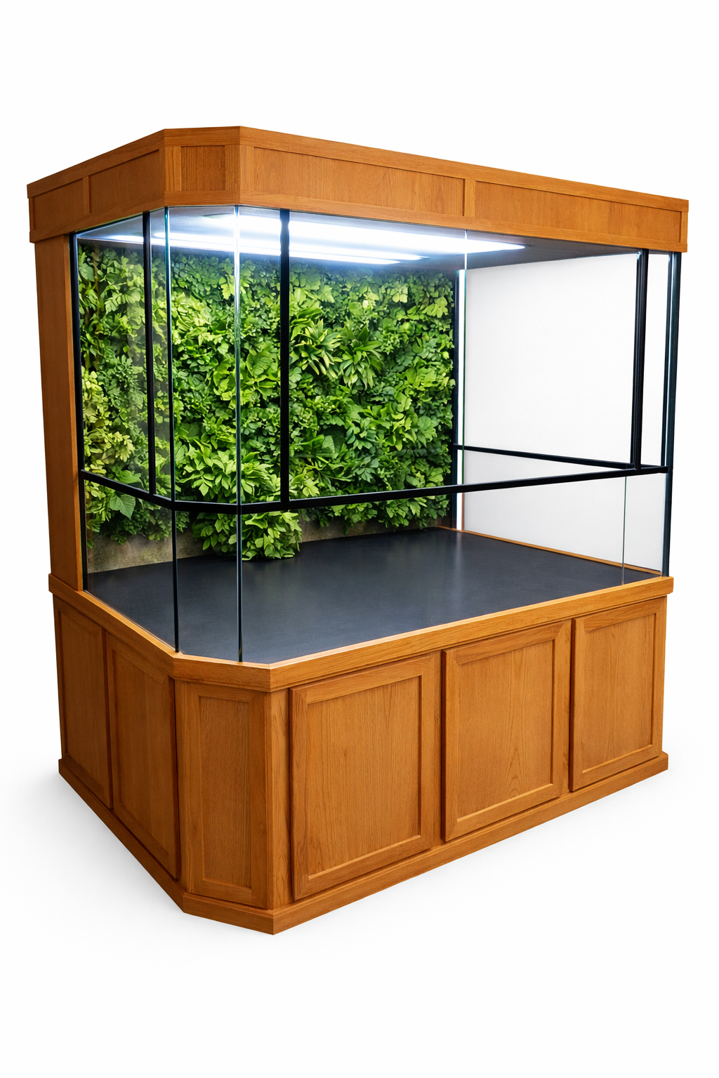 3D Aquarium Displays - Marine - Freshwater - Aquatic Turtles