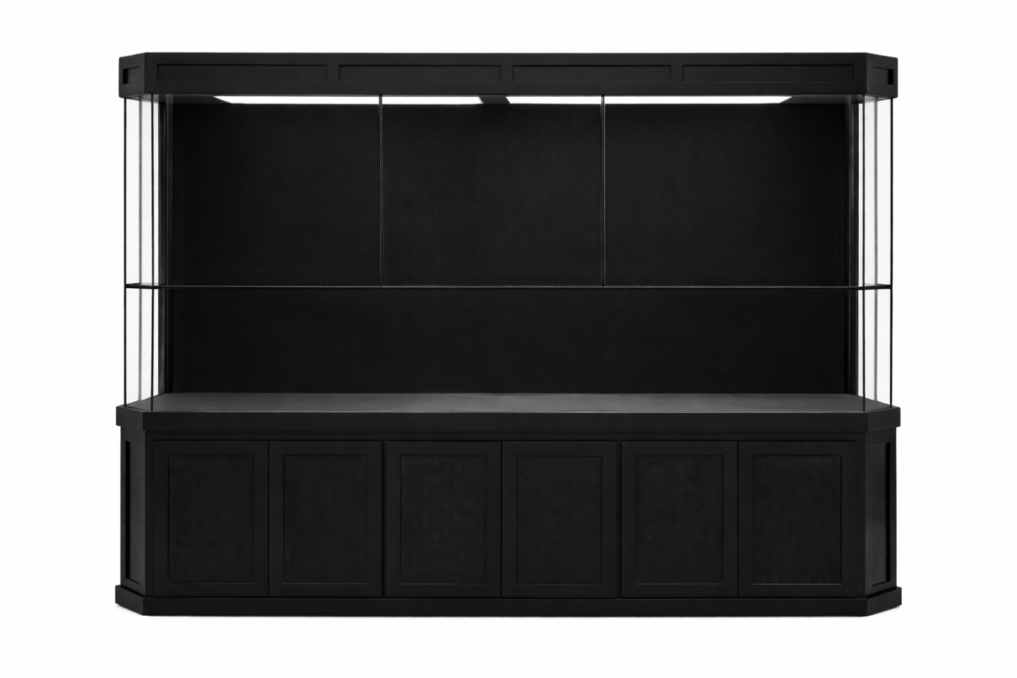 Educational turtle paludarium with clear viewing panels, biological filtration for public exhibits.