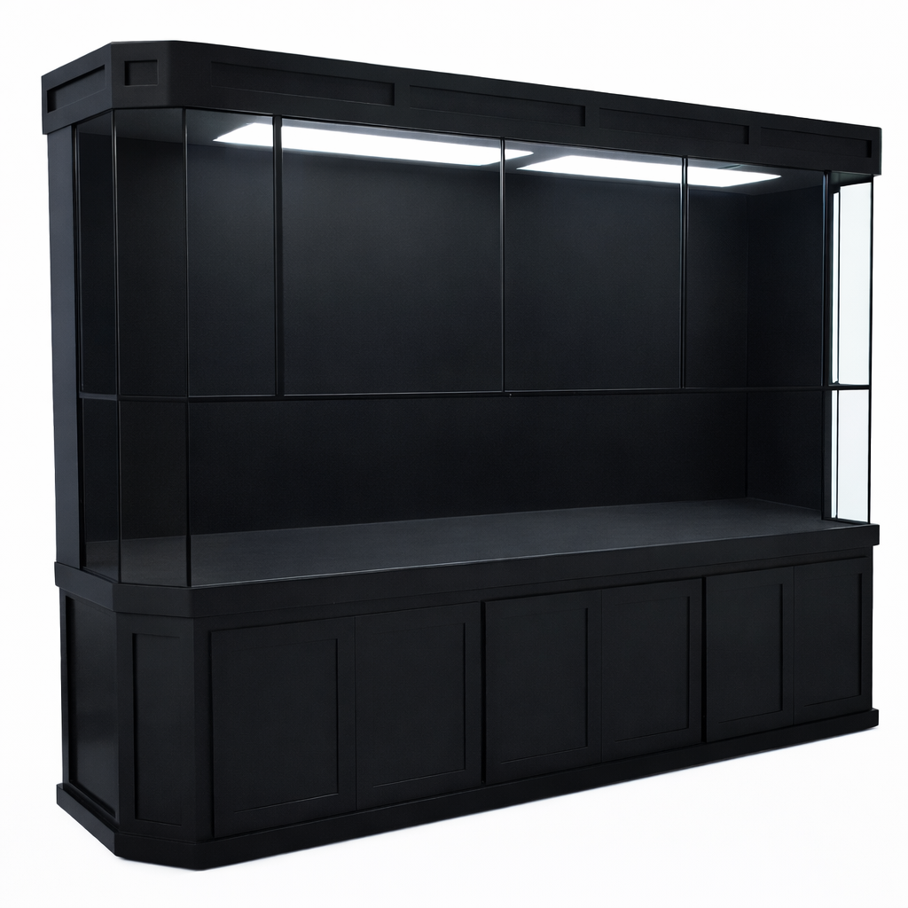 Residential turtle paludarium with clear glass tank, concealed filtration system, and black wall for natural aesthetics.