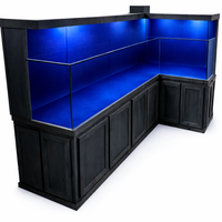 Professionally custom built turtle aquarium or paludarium designed for homes, schools, and public nature displays.