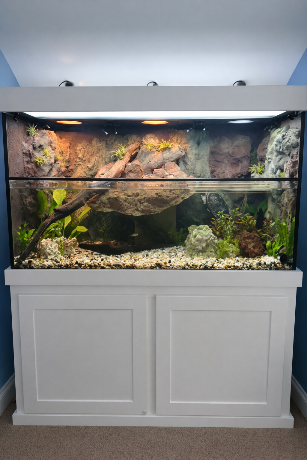 Residential turtle paludarium with clear glass tank, concealed filtration system, and living plant wall for natural aesthetics.