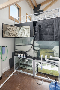 3D Aquarium Displays - Marine - Freshwater - Aquatic Turtles